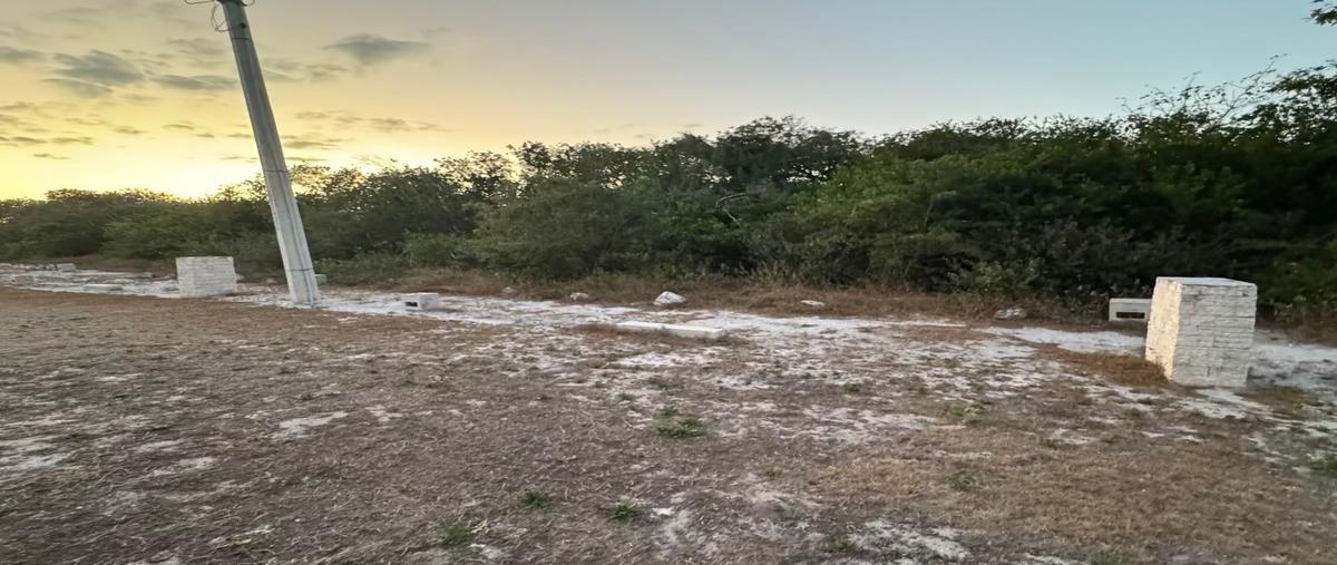 Foto de terreno habitacional en venta en 4 , sisal, hunucmá, yucatán, 0 No. 03