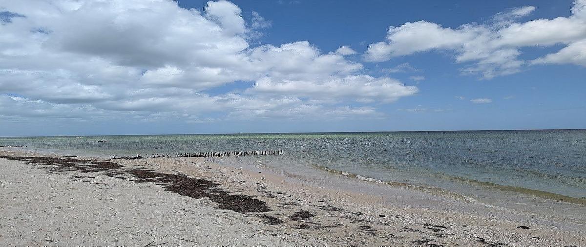 Foto de terreno habitacional en venta en 4 valeria , chicxulub puerto, progreso, yucatán, 0 No. 10