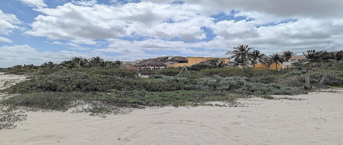 Foto de terreno habitacional en venta en 4 valeria , chicxulub puerto, progreso, yucatán, 0 No. 11