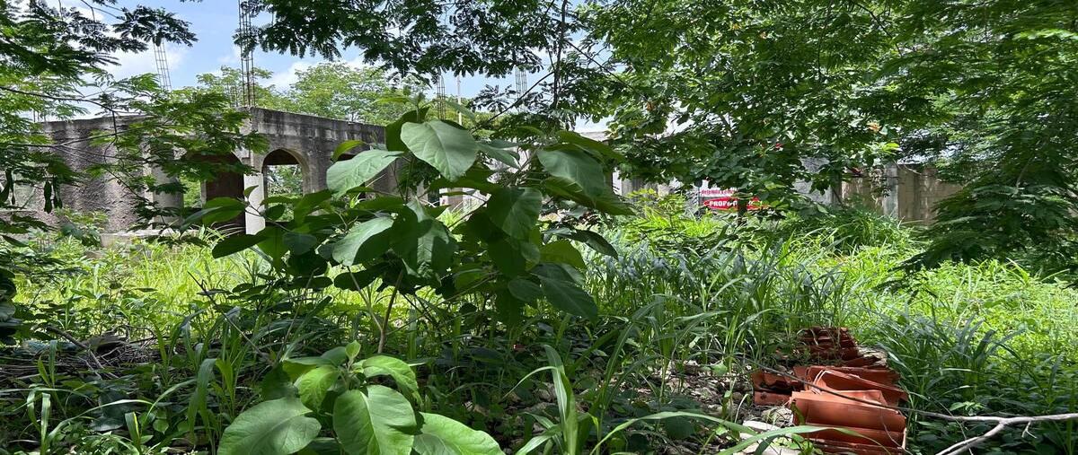 Foto de terreno habitacional en venta en 40 , cholul, mérida, yucatán, 0 No. 05