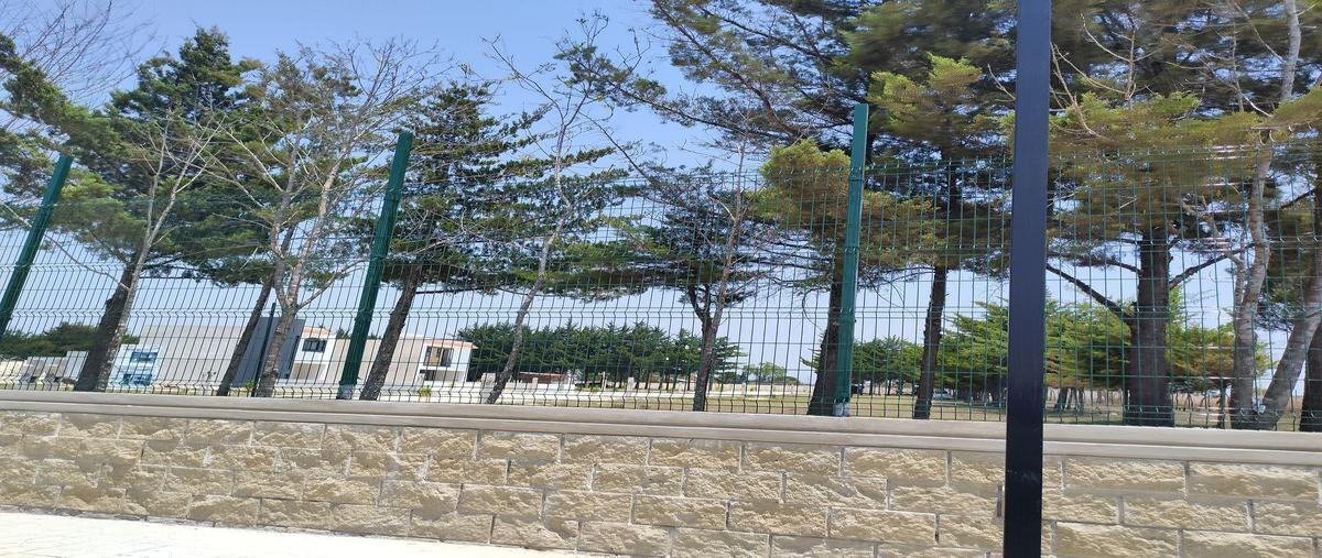 Foto de terreno habitacional en 40ta calle sur oriente , los sabinos, comitán de domínguez, chiapas, 26411757 foto 03 Foto de terreno habitacional en venta en 40ta calle sur oriente , los sabinos, comitán de domínguez, chiapas, 26411757 No. 03