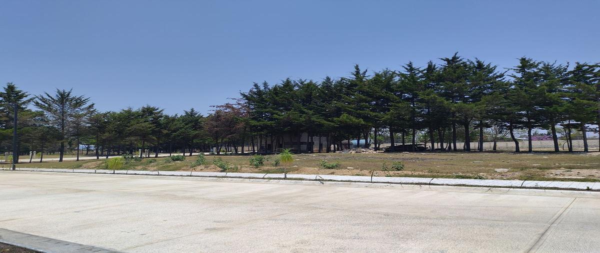 Foto de terreno habitacional en 40ta calle sur oriente , los sabinos, comitán de domínguez, chiapas, 26411757 foto 05 Foto de terreno habitacional en venta en 40ta calle sur oriente , los sabinos, comitán de domínguez, chiapas, 26411757 No. 05