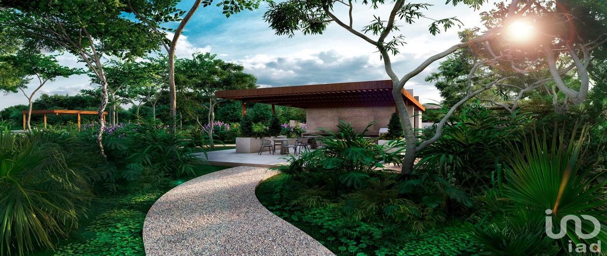 Foto de terreno habitacional en venta en 417 2622, cancún (internacional de cancún), benito juárez, quintana roo, 30313621 No. 05