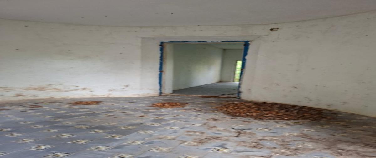 Foto de terreno habitacional en venta en 43 , felipe carrillo puerto, mérida, yucatán, 0 No. 03