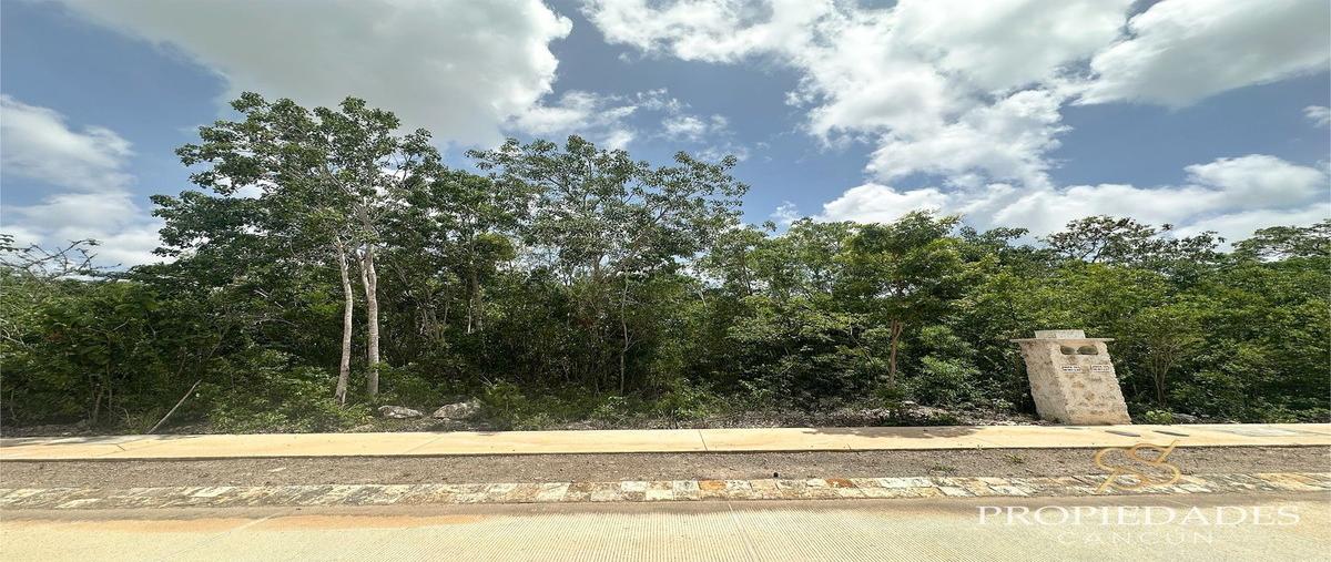 Foto de terreno habitacional en 447q+2977533 , alfredo v bonfil, benito juárez, quintana roo, 0 foto 02 Foto de terreno habitacional en venta en 447q+2977533 , alfredo v bonfil, benito juárez, quintana roo, 0 No. 02