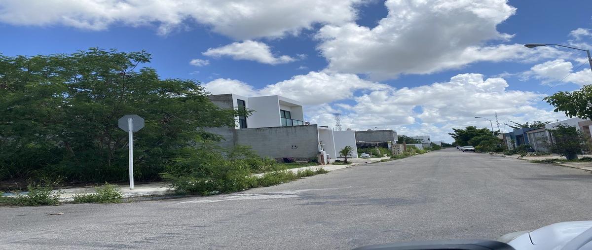 Foto de terreno comercial en 45 , real montejo, mérida, yucatán, 0 foto 02 Foto de terreno comercial en renta en 45 , real montejo, mérida, yucatán, 0 No. 02