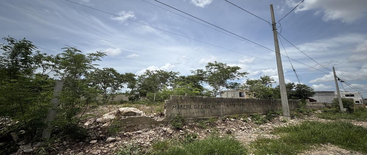 Foto de terreno habitacional en renta en 45´e , chichi suárez, mérida, yucatán, 30080317 No. 03