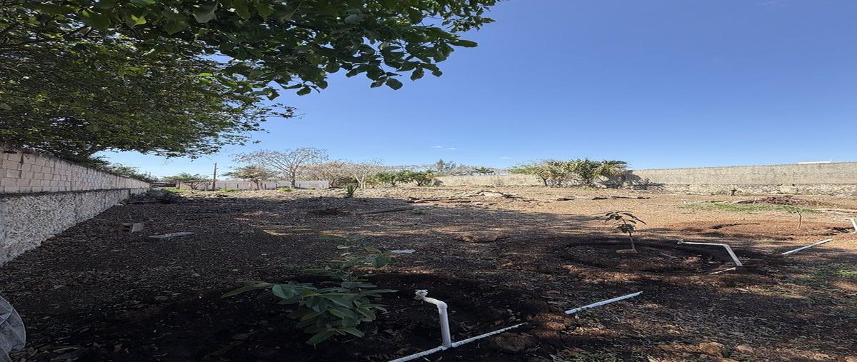 Foto de terreno habitacional en venta en 47 , chichi suárez, mérida, yucatán, 0 No. 03