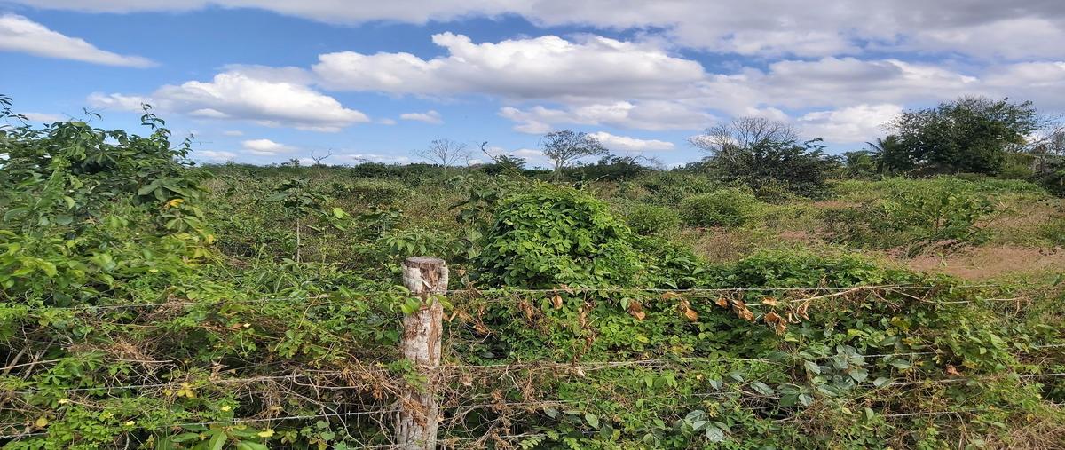 Foto de terreno habitacional en venta en 47 , santa rita, tizimín, yucatán, 27681163 No. 04