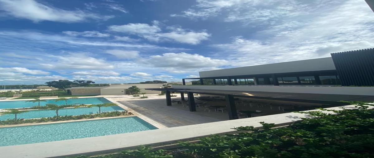 Foto de terreno habitacional en venta en 48rr+rx , tamanché, mérida, yucatán, 0 No. 04