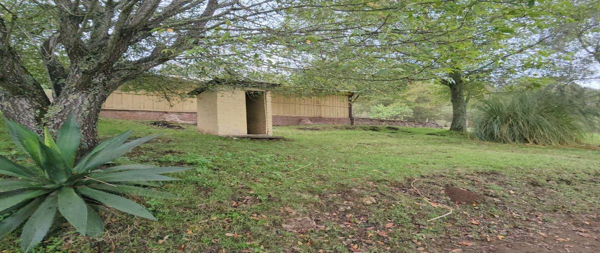 Foto de terreno habitacional en venta en 49367 jal. , juanacatlan, tapalpa, jalisco, 26966234 No. 03