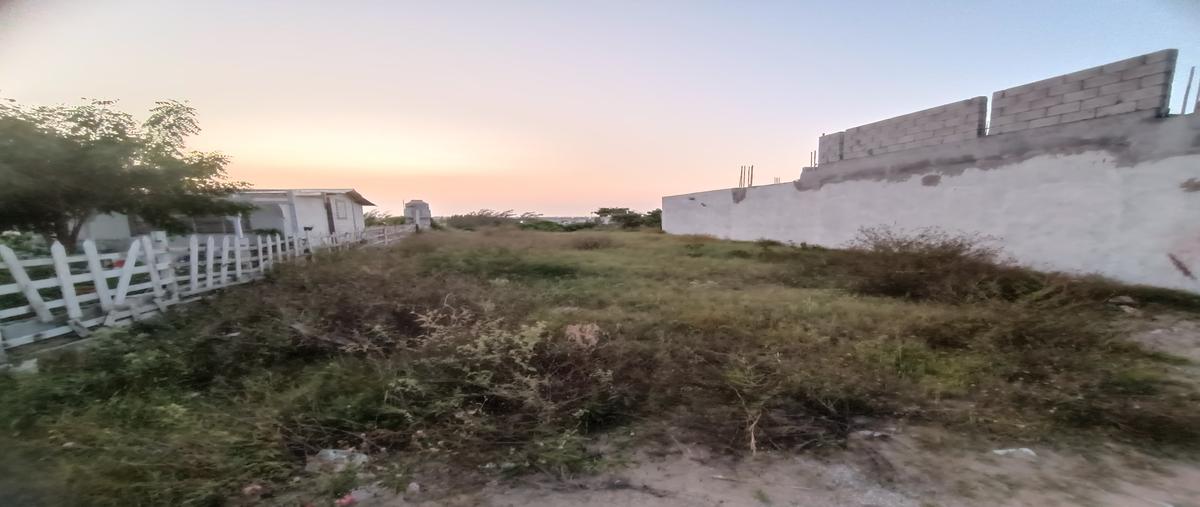 Foto de terreno habitacional en venta en 4a avenida , fundadores, altamira, tamaulipas, 28829344 No. 02