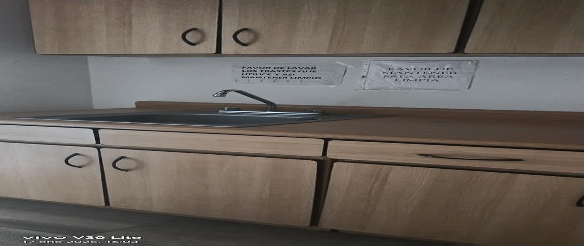 Foto de edificio en renta en 4a. , nombre de dios, chihuahua, chihuahua, 27736752 No. 05