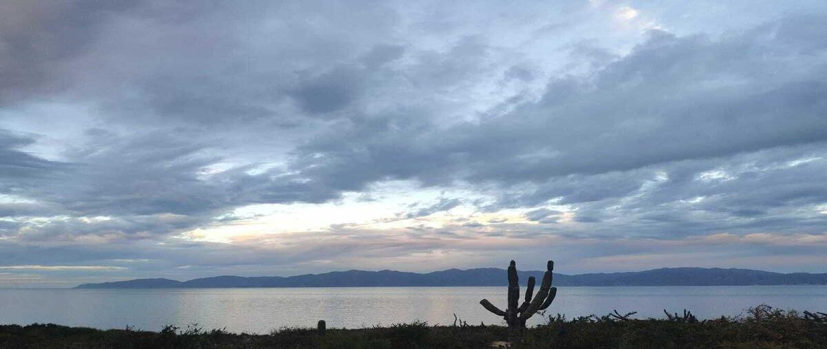 Foto de terreno habitacional en venta en 4xjx+xmr el jalitobaja california sur , la ventana, la paz, baja california sur, 28289575 No. 02