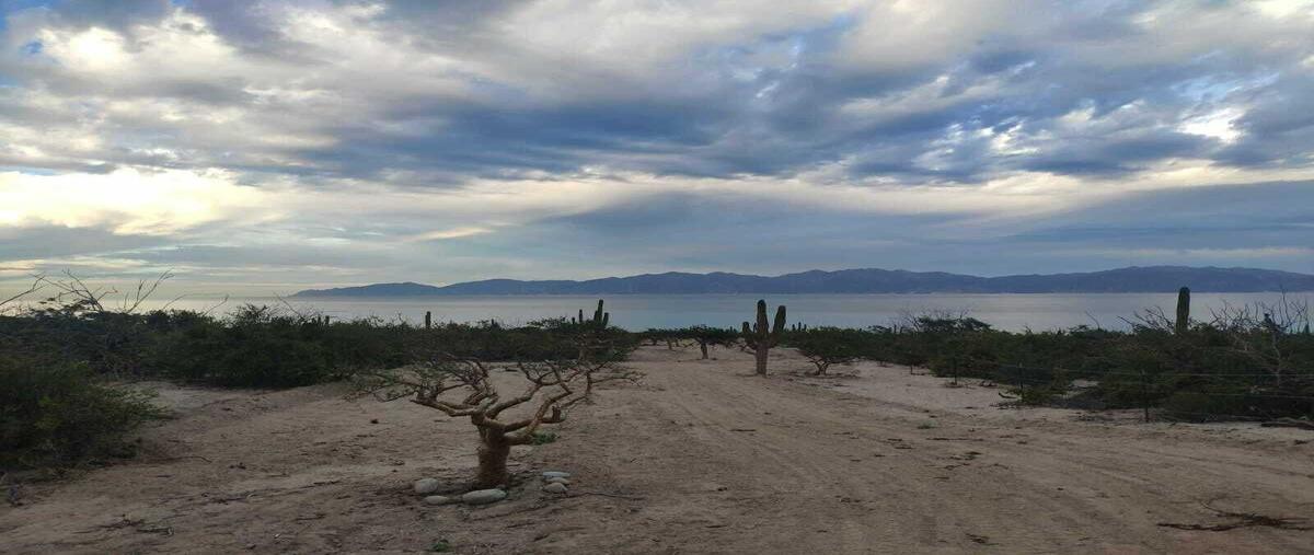 Foto de terreno habitacional en venta en 4xjx+xmr el jalitobaja california sur , la ventana, la paz, baja california sur, 28289575 No. 03
