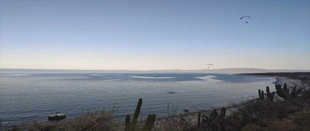 Foto de terreno habitacional en venta en 4xjx+xmr el jalitobaja california sur , la ventana, la paz, baja california sur, 28289575 No. 05