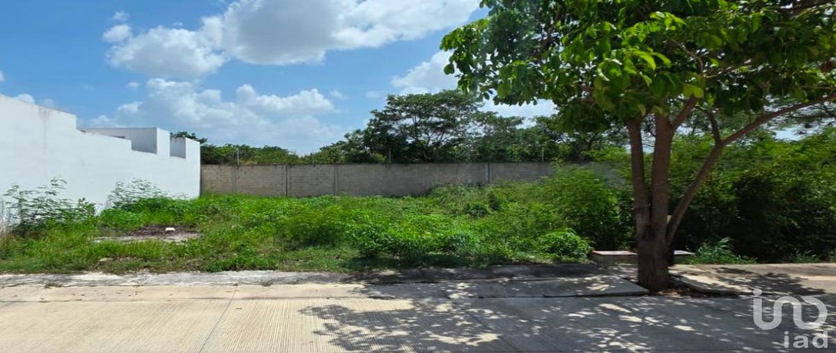 Foto de terreno habitacional en venta en 5 84, cholul, mérida, yucatán, 31686206 No. 04