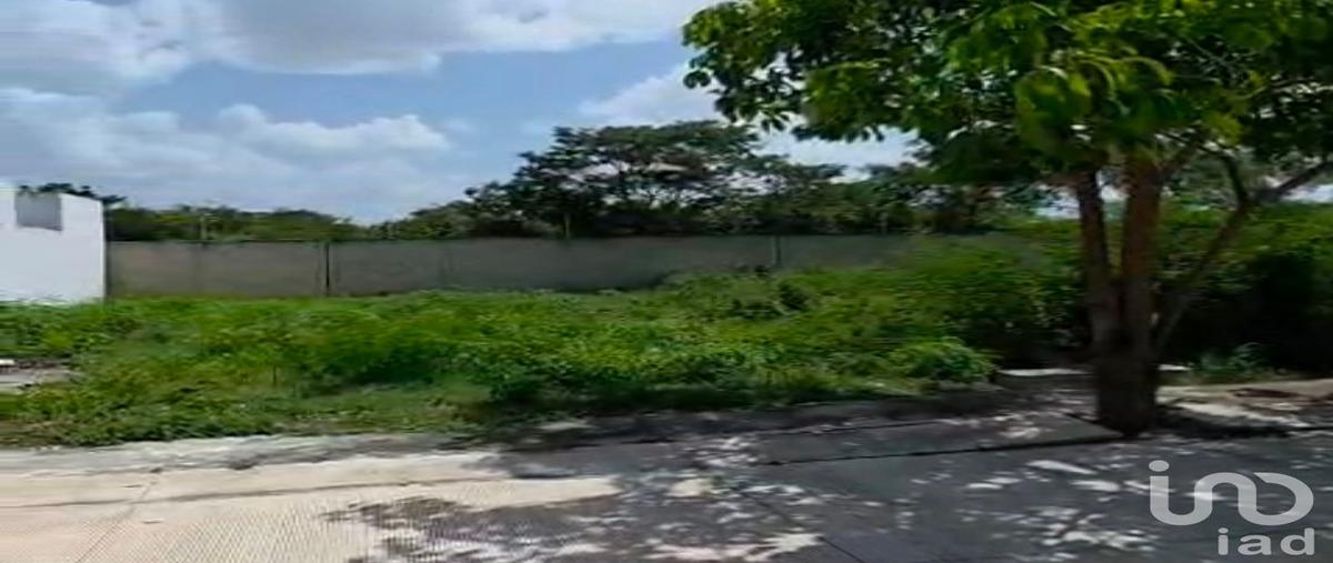 Foto de terreno habitacional en venta en 5 84, cholul, mérida, yucatán, 31686206 No. 05
