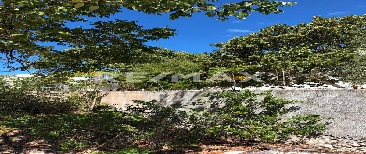 Foto de terreno habitacional en venta en 5 , celestun, celestún, yucatán, 0 No. 04