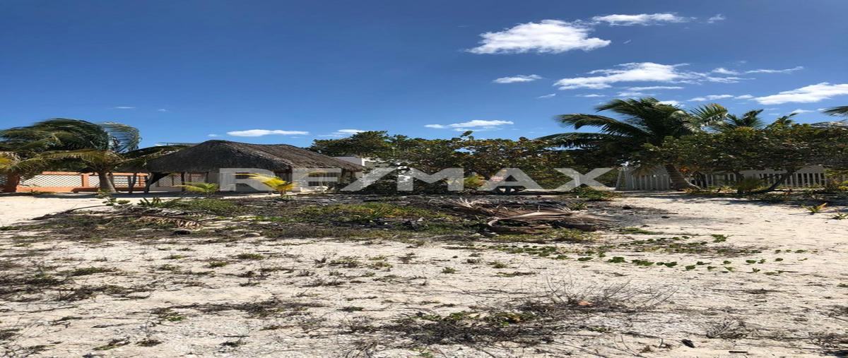 Foto de terreno habitacional en venta en 5 , celestun, celestún, yucatán, 0 No. 05