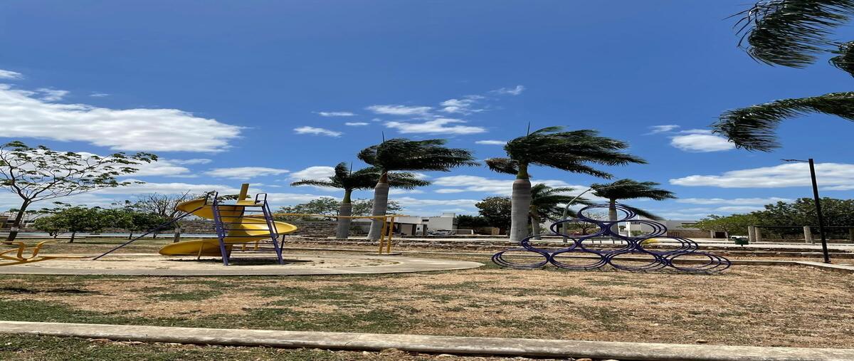 Foto de terreno habitacional en 5 , cholul, mérida, yucatán, 0 foto 05 Foto de terreno habitacional en venta en 5 , cholul, mérida, yucatán, 0 No. 05