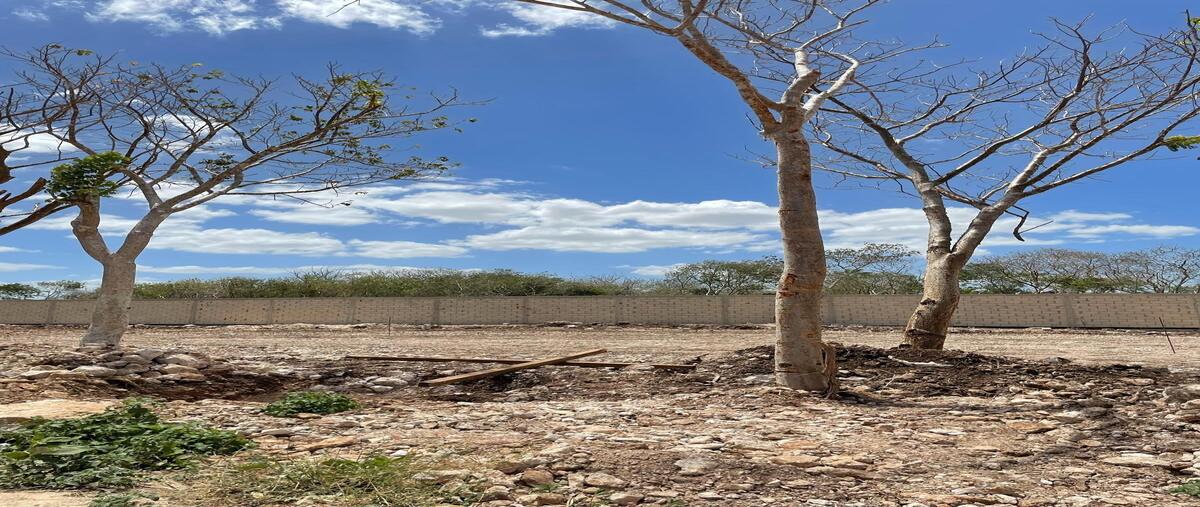 Foto de terreno habitacional en 5 , cholul, mérida, yucatán, 0 foto 05 Foto de terreno habitacional en venta en 5 , cholul, mérida, yucatán, 0 No. 05