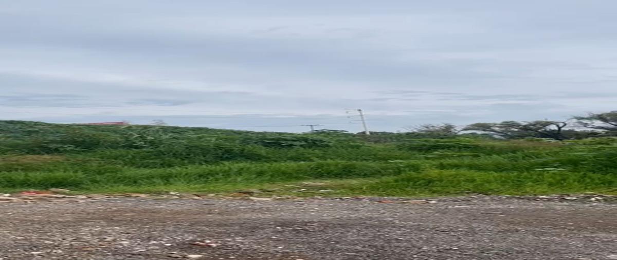 Foto de terreno comercial en venta en 5 de febrero , coyula, tonalá, jalisco, 0 No. 05