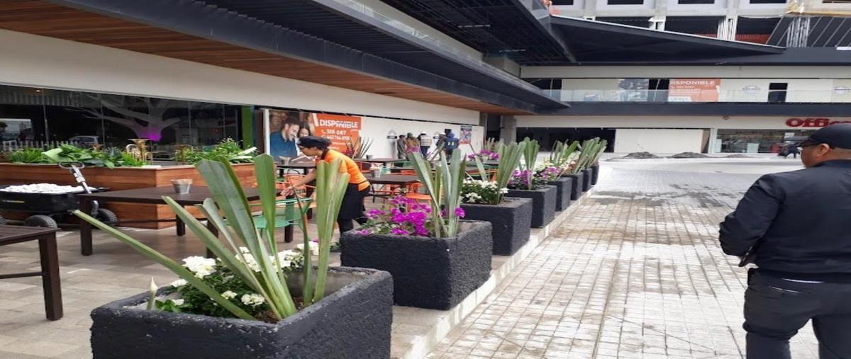Foto de oficina en renta en  , 5 de febrero, querétaro, querétaro, 30713695 No. 05