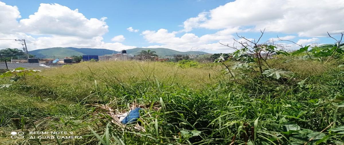 Foto de terreno habitacional en venta en 5 de mayo 200, infonavit santa anita, san pedro tlaquepaque, jalisco, 0 No. 04