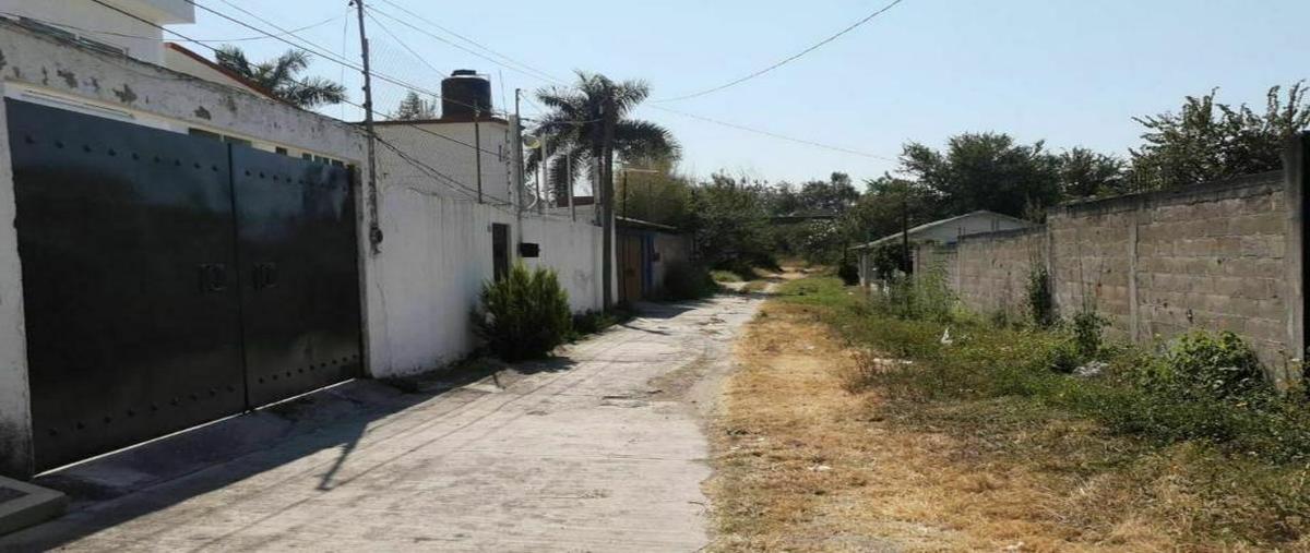 Foto de terreno habitacional en venta en 5 de mayo ., lázaro cárdenas (el empalme), yautepec, morelos, 0 No. 03