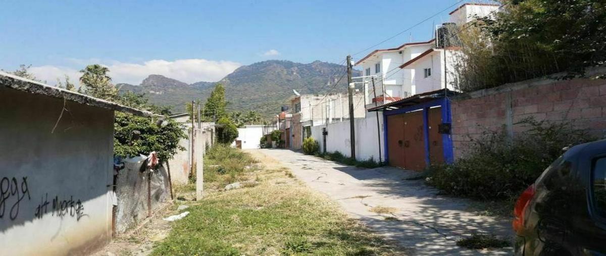 Foto de terreno habitacional en venta en 5 de mayo ., lázaro cárdenas (el empalme), yautepec, morelos, 0 No. 04