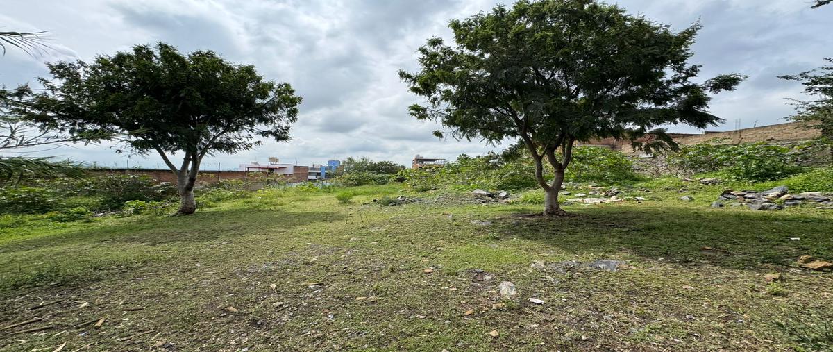 Foto de terreno comercial en 5 de mayo , mirador del sol, tonalá, jalisco, 30410956 foto 07 Foto de terreno comercial en venta en 5 de mayo , mirador del sol, tonalá, jalisco, 30410956 No. 07