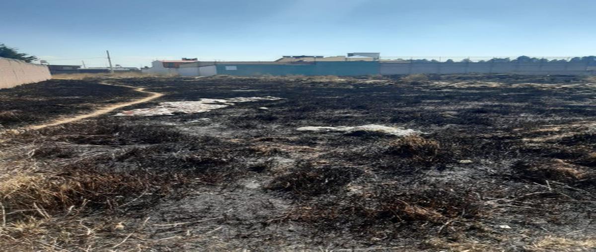 Foto de terreno habitacional en venta en 5 de mayo , san antonio buenavista, toluca, méxico, 24482014 No. 04