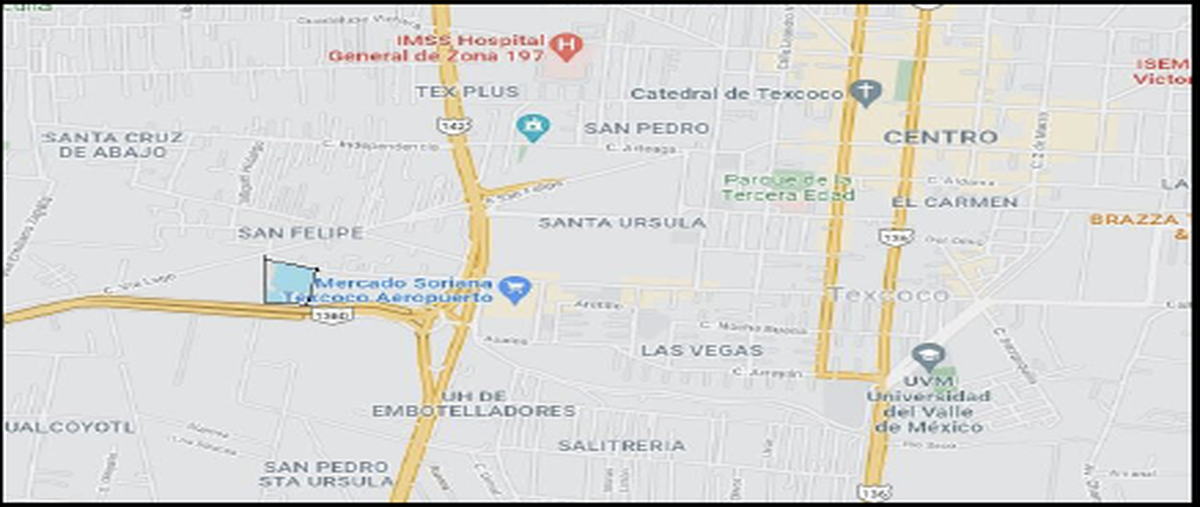 Foto de terreno habitacional en venta en 5 de mayo , san martín, texcoco, méxico, 24888902 No. 03