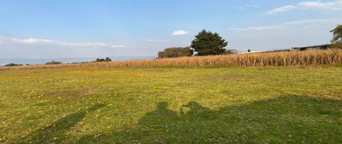 Foto de terreno habitacional en venta en 5 de mayo , san nicolás tolentino, toluca, méxico, 26847163 No. 03