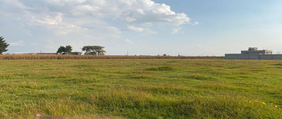 Foto de terreno habitacional en venta en 5 de mayo , san nicolás tolentino, toluca, méxico, 26847163 No. 04