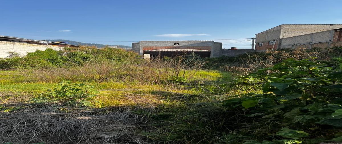Foto de terreno comercial en renta en 5 de mayo , tenango de arista centro, tenango del valle, méxico, 26637232 No. 03
