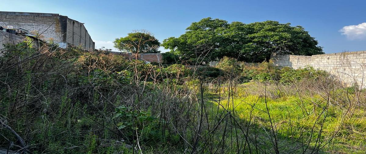 Foto de terreno comercial en renta en 5 de mayo , tenango de arista centro, tenango del valle, méxico, 26637232 No. 04