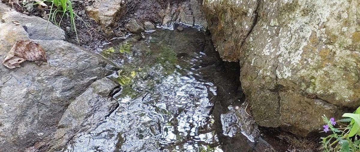 Foto de rancho en venta en 5 de mayo , tumbiscatio de ruiz, tumbiscatío, michoacán de ocampo, 0 No. 03