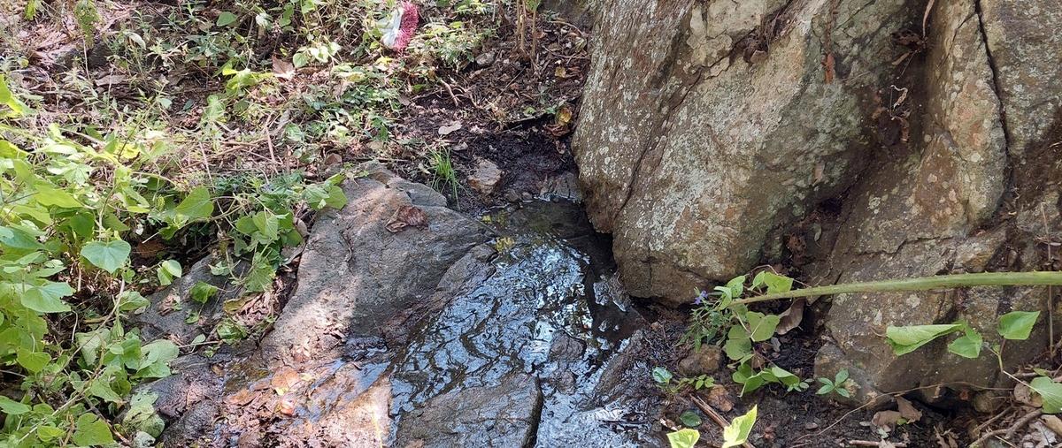 Foto de rancho en venta en 5 de mayo , tumbiscatio de ruiz, tumbiscatío, michoacán de ocampo, 0 No. 05