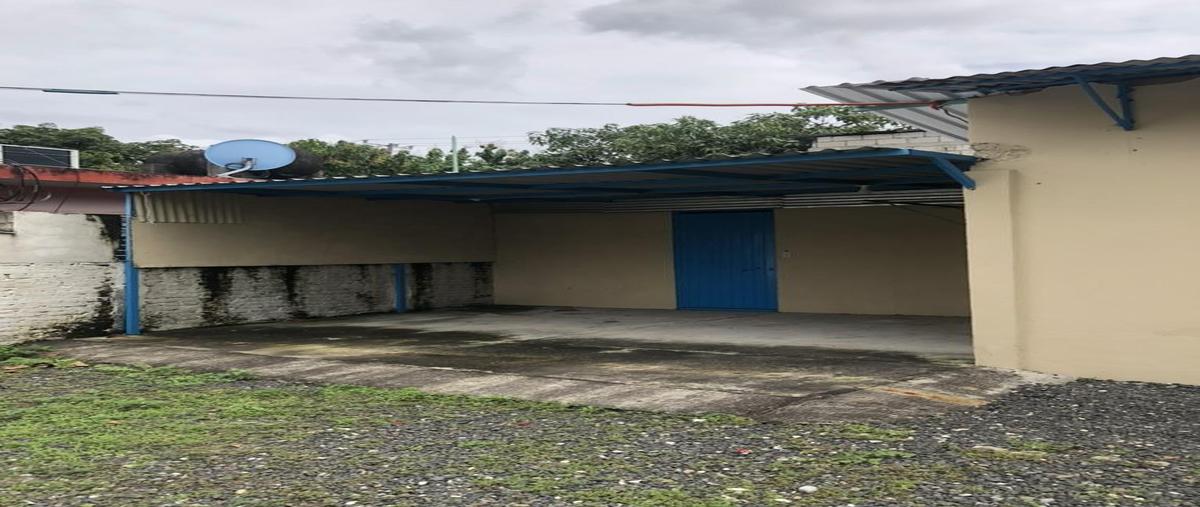 Foto de terreno habitacional en renta en  , 5 de mayo vieja, poza rica de hidalgo, veracruz de ignacio de la llave, 0 No. 04