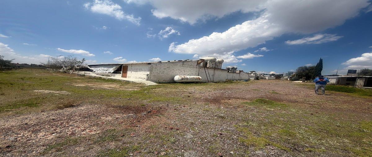 Foto de terreno habitacional en venta en 5 de septiembre , zapotlán de juárez centro, zapotlán de juárez, hidalgo, 31066211 No. 03