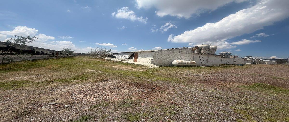 Foto de terreno habitacional en venta en 5 de septiembre , zapotlán de juárez centro, zapotlán de juárez, hidalgo, 31066211 No. 04