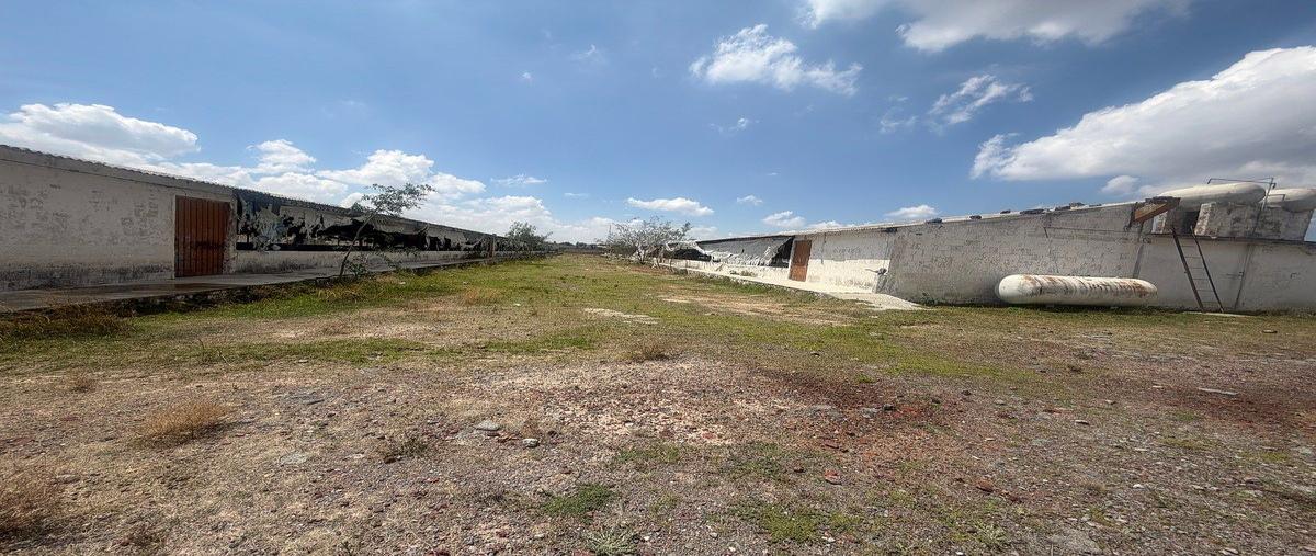 Foto de terreno habitacional en venta en 5 de septiembre , zapotlán de juárez centro, zapotlán de juárez, hidalgo, 31066211 No. 05