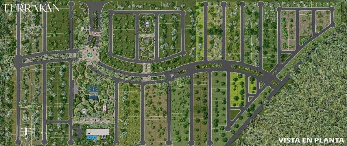 Foto de terreno habitacional en venta en 5 , tepakan, tepakán, yucatán, 28994135 No. 04