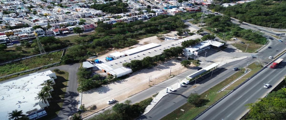 Foto de terreno comercial en venta en 50 , francisco de montejo, mérida, yucatán, 28633599 No. 03