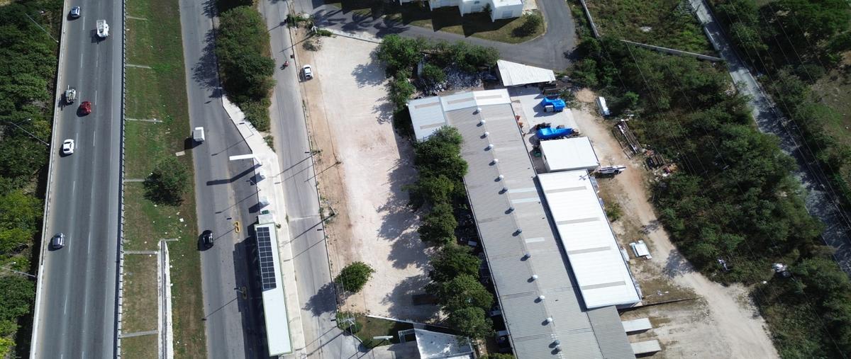 Foto de terreno comercial en venta en 50 , francisco de montejo, mérida, yucatán, 28633599 No. 05