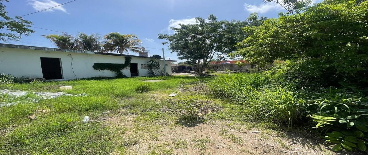 Foto de terreno habitacional en venta en 50 , plan de ayala sur, mérida, yucatán, 28378732 No. 04
