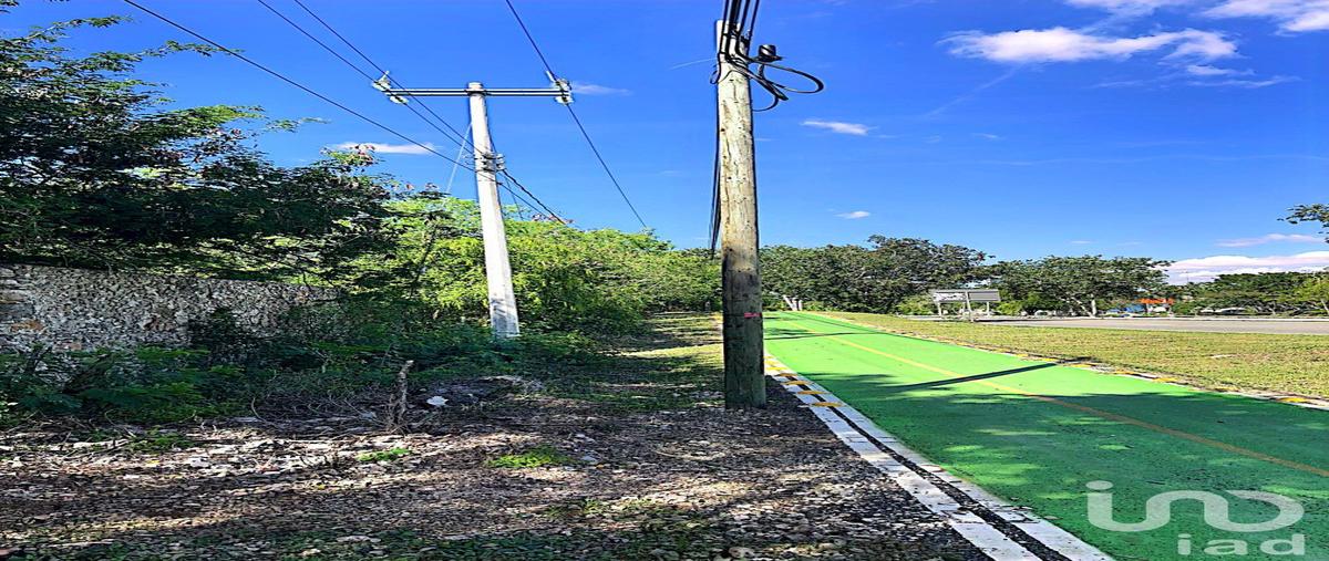 Foto de terreno comercial en venta en 50-e , xmatkuil, mérida, yucatán, 0 No. 04