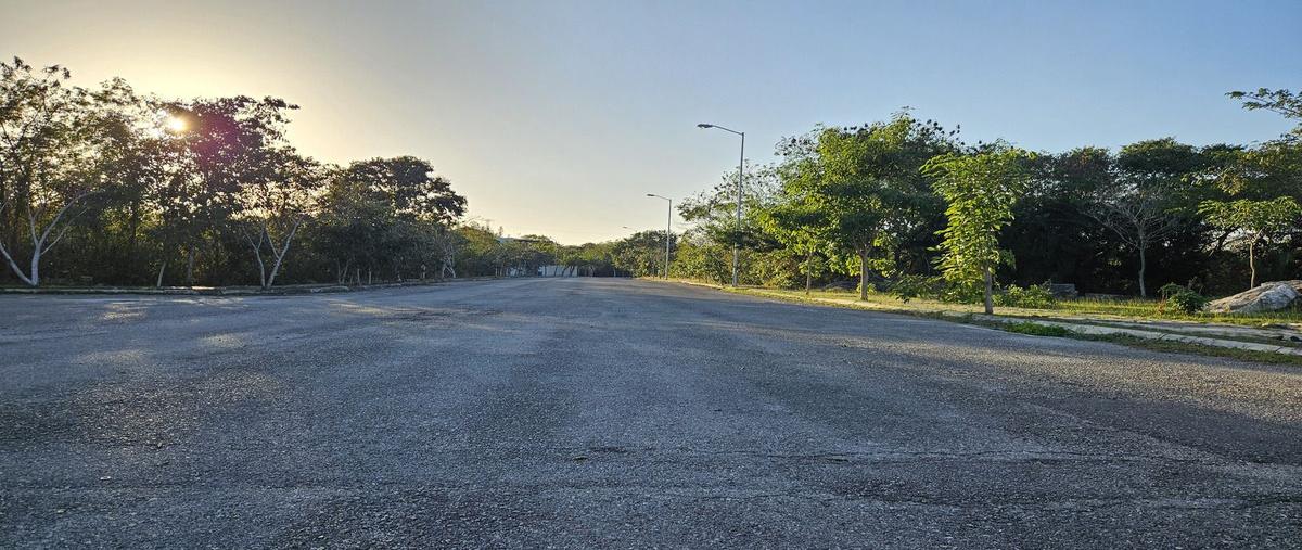 Foto de terreno habitacional en 51 , residencial xcanatún, mérida, yucatán, 0 foto 05 Foto de terreno habitacional en venta en 51 , residencial xcanatún, mérida, yucatán, 0 No. 05
